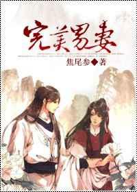 完美男妻