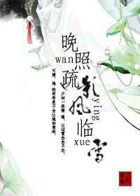 晚照疏影风临雪