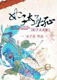 妃子太无耻