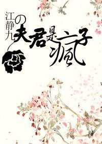夫君是疯子／调