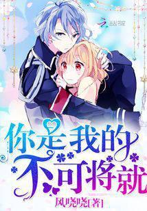 你是我的不可将就