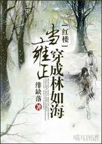 当雍正穿成林如海