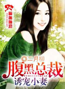 腹黑总裁诱宠小妻／无良总裁俏秘书