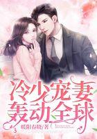 冷少宠妻轰动全球