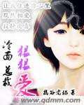 冷面总裁狠狠爱