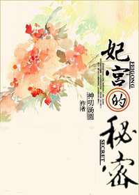 妃宫的秘密