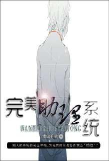 完美助理系统
