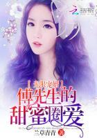 傅先生的甜蜜圈爱