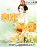 表来鸟我