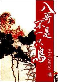 八哥不是一只鸟／八阿哥胤禩重生