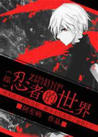 忍者的世界