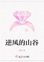 逆风的山谷