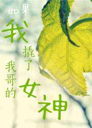 如果我撬了我哥的女神