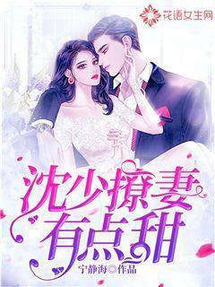 沈少撩妻有点甜