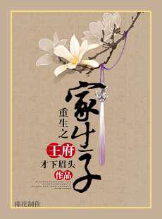 重生之王府家生子