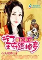 妃天下：拆了王府踢掉妾