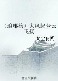 大风起兮云飞扬