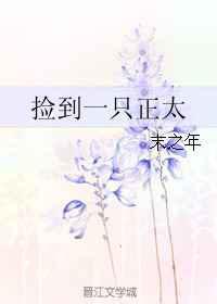 捡到一只正太