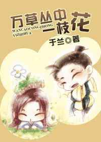 万草丛中一枝花
