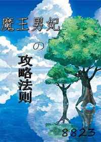 魔王男妃的攻略法则