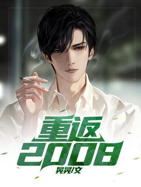 重返2008