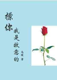 撩你我是故意的／直男大叔睡了我