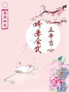 娇妻会武，王爷当心