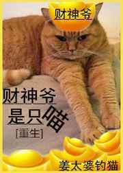 财神爷是只喵