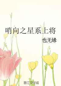 哨向之星系上将