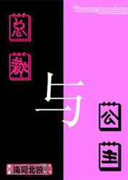 总裁与公主
