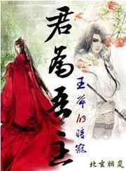 君为吾主：王爷的暗宠