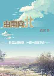 由南向北1+2