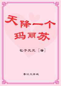 天降一个玛丽苏