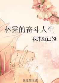 林霁的奋斗人生