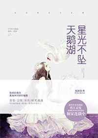 星光不坠天鹅湖