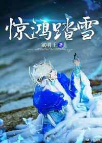 惊鸿踏雪