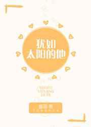 犹如太阳的他