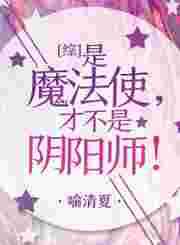 是魔法使，才不是阴阳师