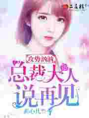 攻势汹汹，总裁大人说再见