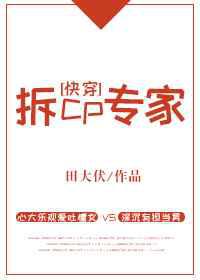拆CP专家