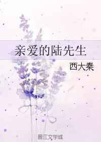 亲爱的陆先生