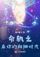 命轨之有你的向阳时光