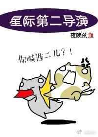 星际第二导演