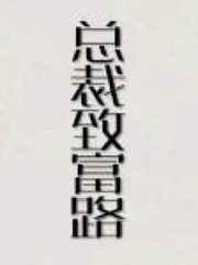 总裁致富路