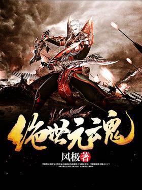 绝世元魂-风极