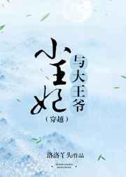 小王妃与大王爷