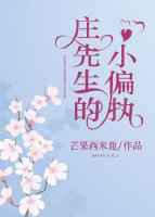 庄先生的小偏执