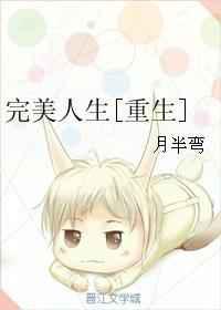 完美人生