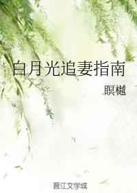 白月光追妻指南