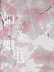 如露如电